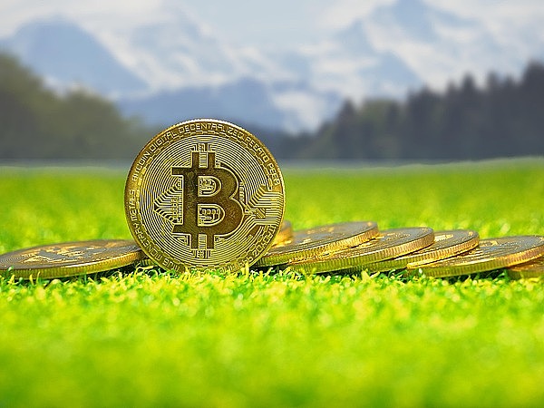 Layer2赛道新贵崛起：谁将成为下一个行业黑马？