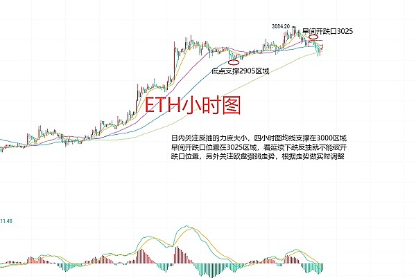 深度解析：MultiversX(EGLD)如何在区块链红海中开辟新赛道
