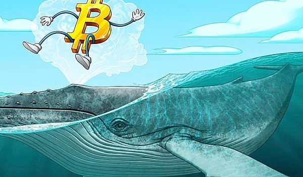 比特币万亿俱乐部：梦想照进现实？