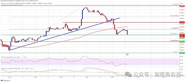 加密货币禁令并非良方？IMF与FSB最新表态引人深思