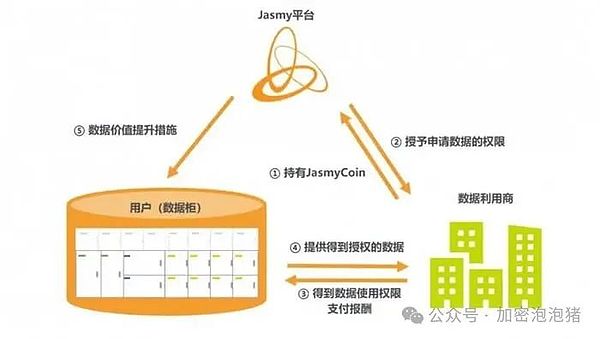 LINK暴涨背后的秘密：鲸鱼们为何疯狂加仓？