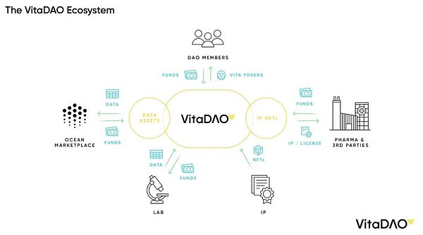 加密世界新纪元：Ethscriptions与Facet-VM如何重塑区块链生态