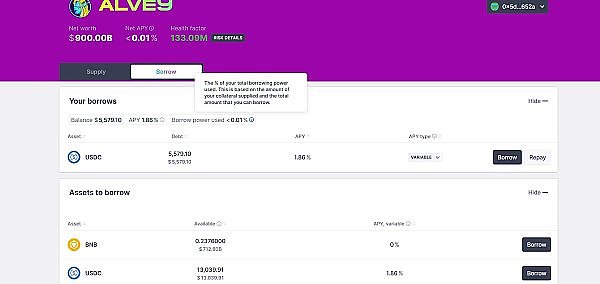 熊市中的惊喜发现：Doubler项目为何让我眼前一亮