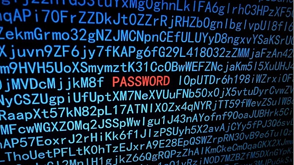 沙漠中的金融革命：CamelPayment如何重塑阿联酋经济版图