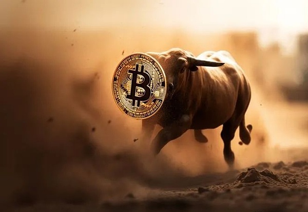 机构抢筹的区块链黄金赛道：这些项目凭什么能涨百倍？